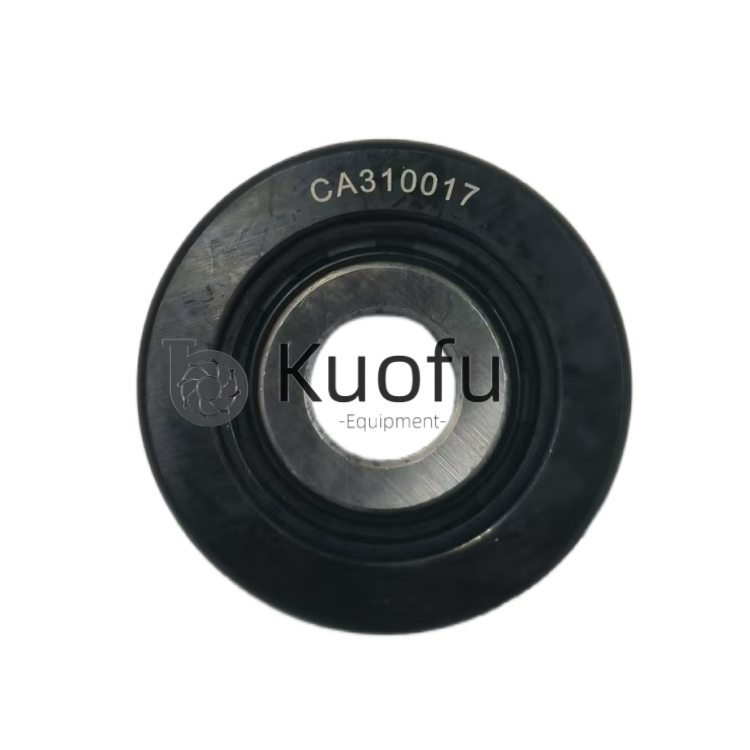 CA 310017 Bearing